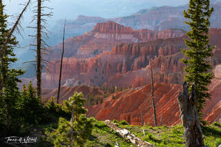 A Red Green Show
