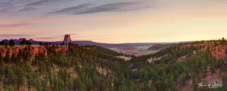 devils tower wyoming above the forest