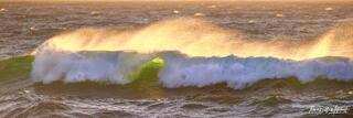 Golden Spray