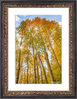 Choosing a frame for your fine art photography print