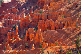 Highleap Hoodoos