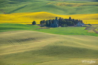 Palouse Palette