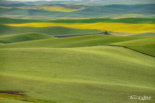 Palouse Pastels