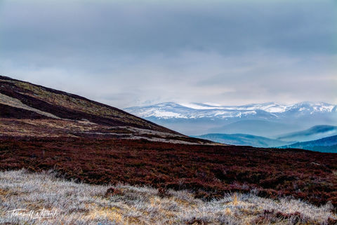 View of the Cairngorm Mountains, Scotland