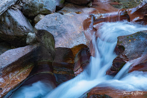 Chiseled rock and flowing water at Avalanche Creek, Glacier National Park.