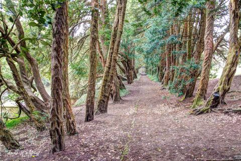 Path through the trees at Hardwick Hall, England