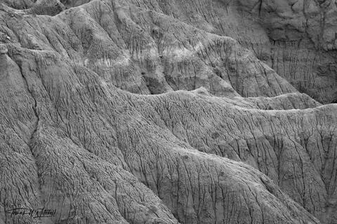Black and white photograph of desert scene in Kodachrome Basin, Utah