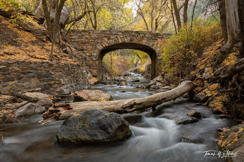autumn trees and river with old stone bridge, Wasatch Mountains, Utah