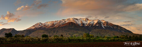 sunset on Mount Timpanogos Utah in the springtime