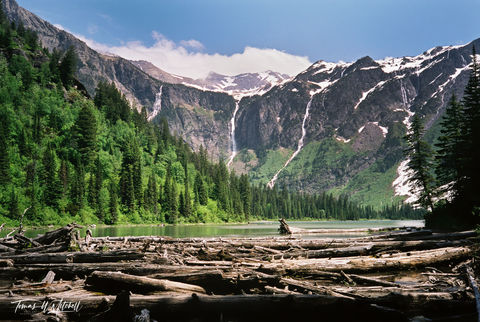 avalanche lake glacier national park montana