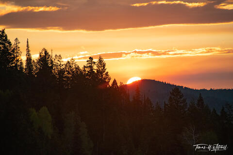 sunset over mountain forest