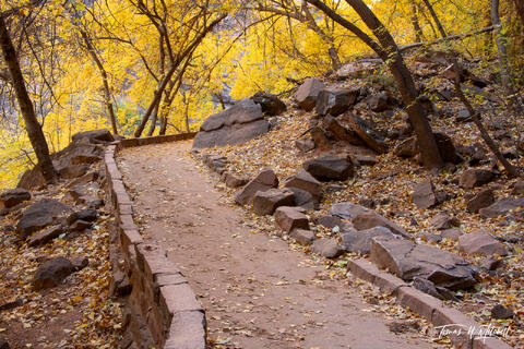 river walk trail Zion National Park in the autumn