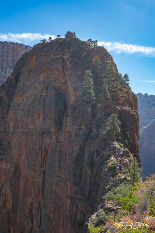 Angels Landing in Zion National Park from the trail.