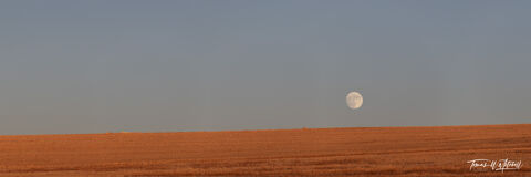 full moon over red hillside