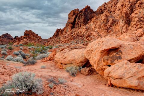 Desert Rock and Sand Valley of Fire, Nevada
