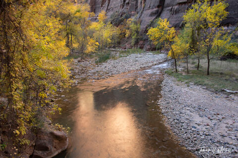 autumn river morning Zion National Park, Utah