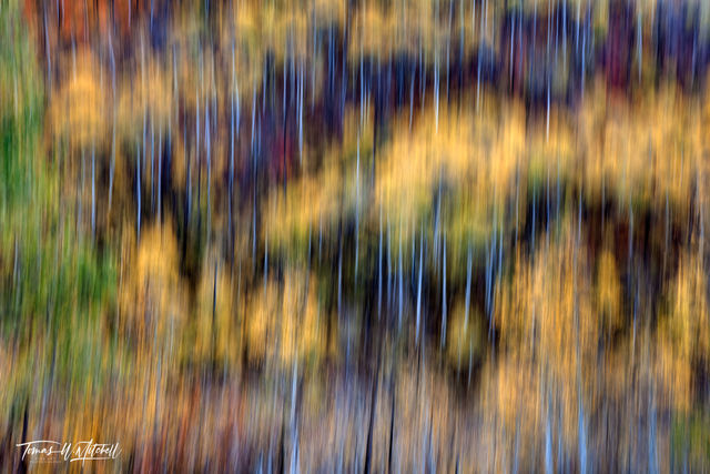 Abstract Fine Art Photography Does It Make Your Eyes Hurt?