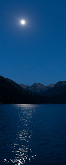 New Release of Buck Moon | Panoramic Photogaph