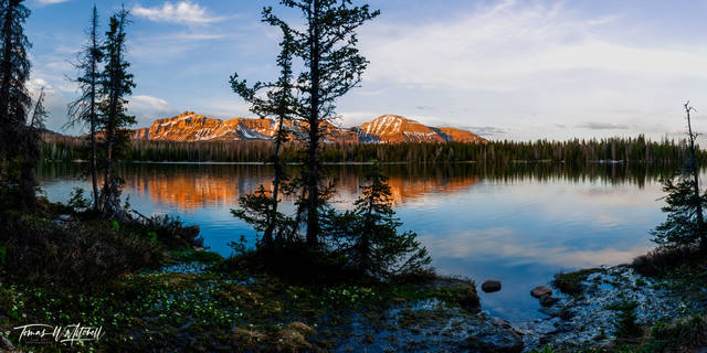 The Healing Power of Nature Photographs