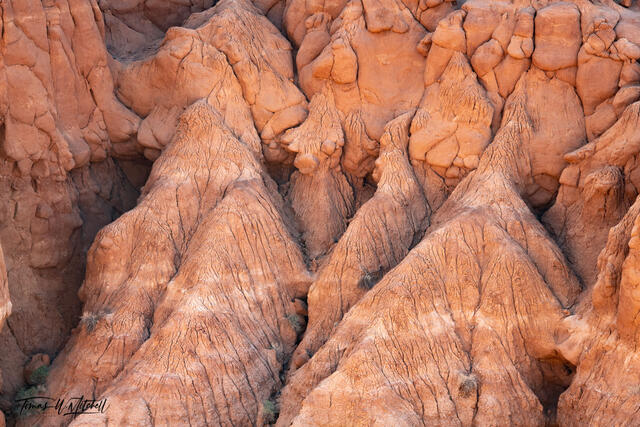 I was interviewed by Voyage Utah Magazine!