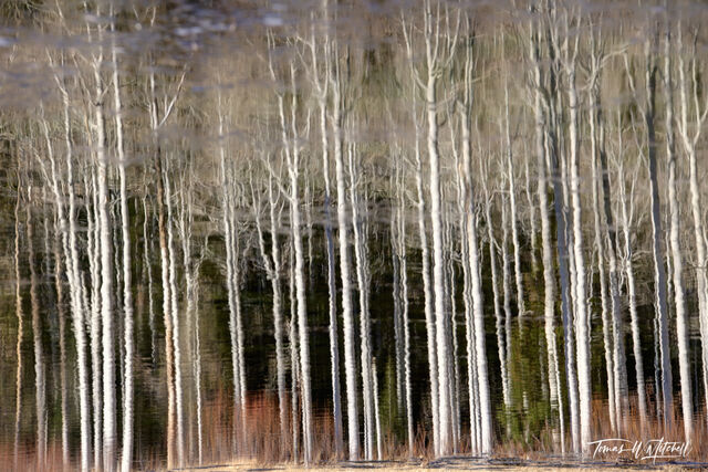 Samhain Dreams Abstract Photography