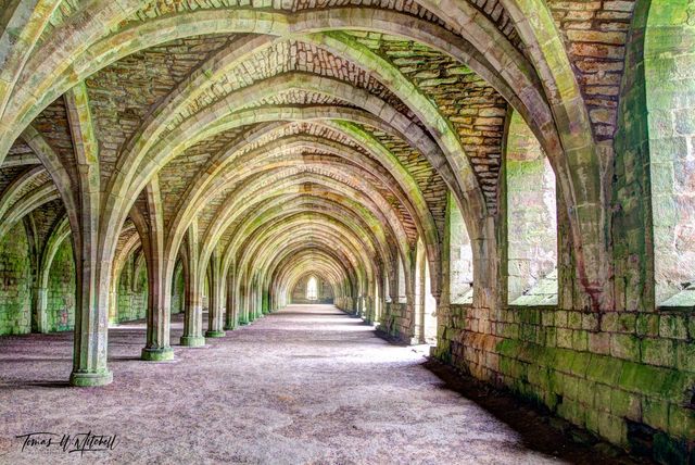 Is photography Art? Art Prints for Sale