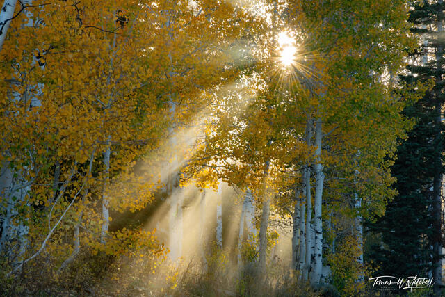 Autumn Photography in the Rocky Mountains