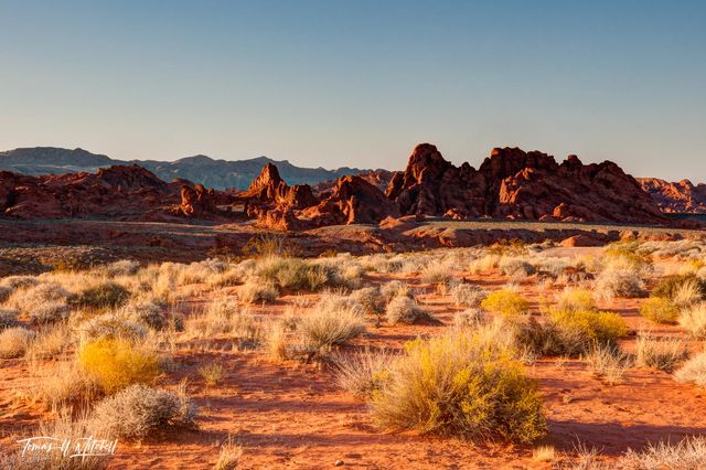 Photographing at Valley of Fire State Park, Nevada