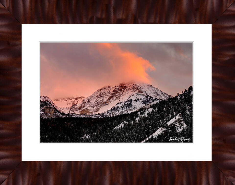 print preview