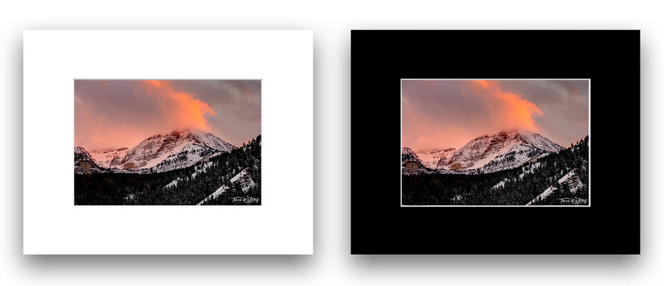 print preview