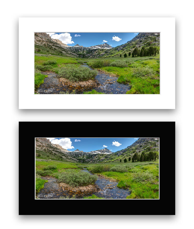 print preview