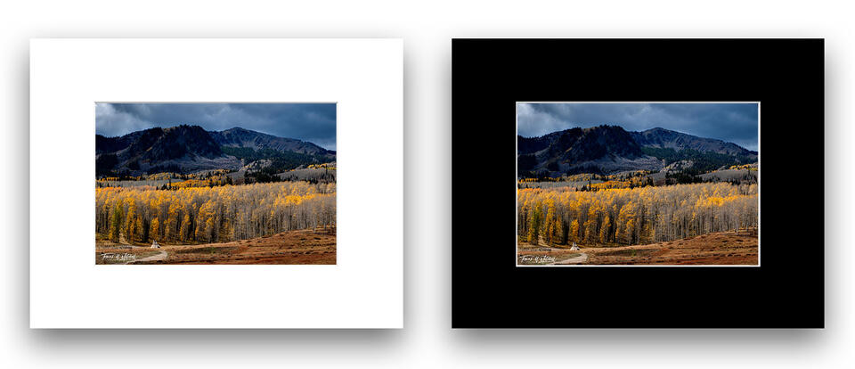 print preview
