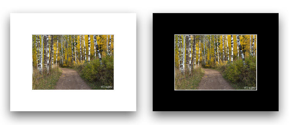  print preview