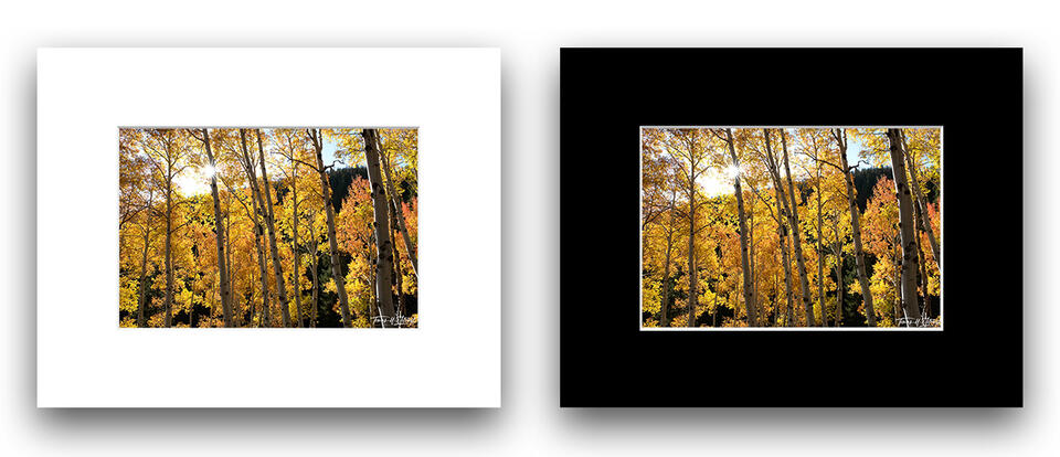 print preview