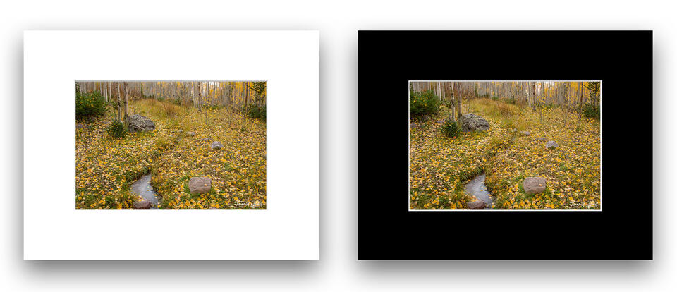 print preview