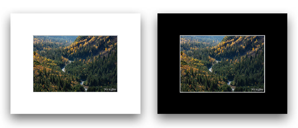 print preview