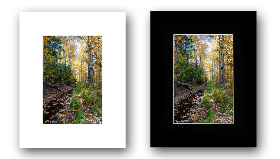print preview