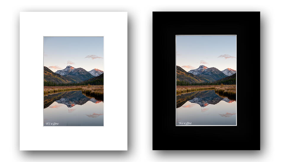 print preview