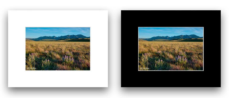 print preview