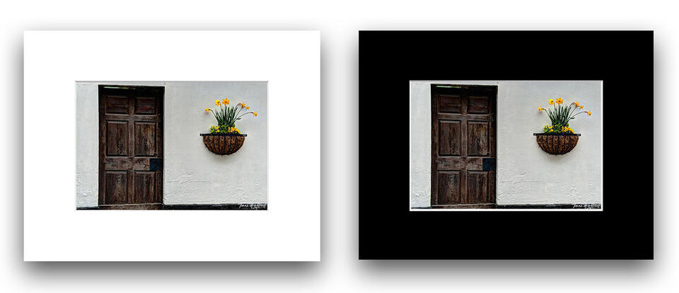  print preview