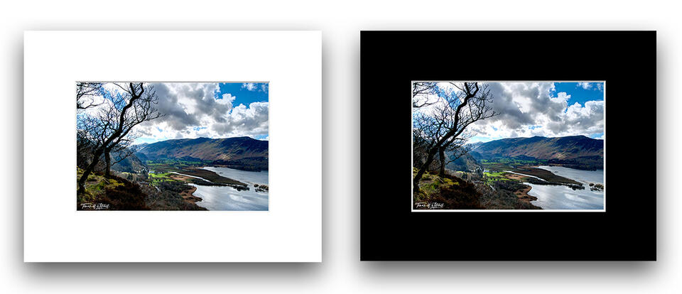 print preview