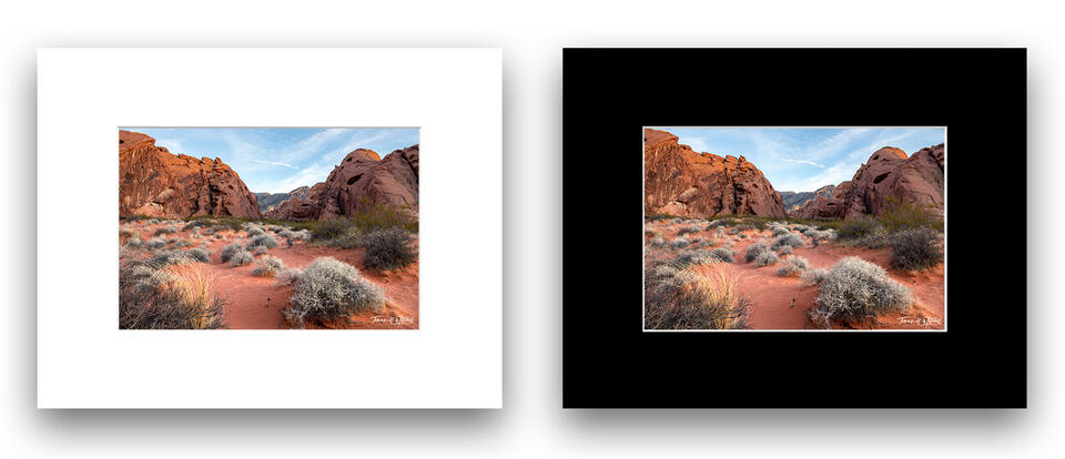 print preview
