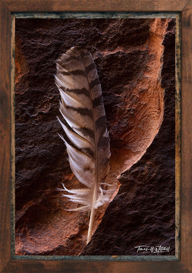 print preview