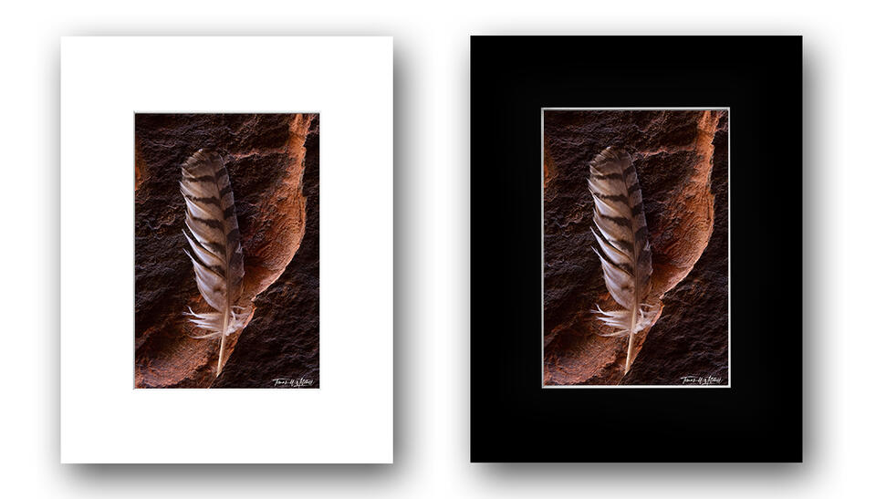 print preview