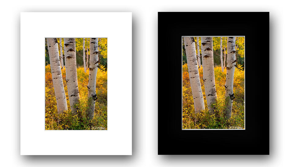 print preview