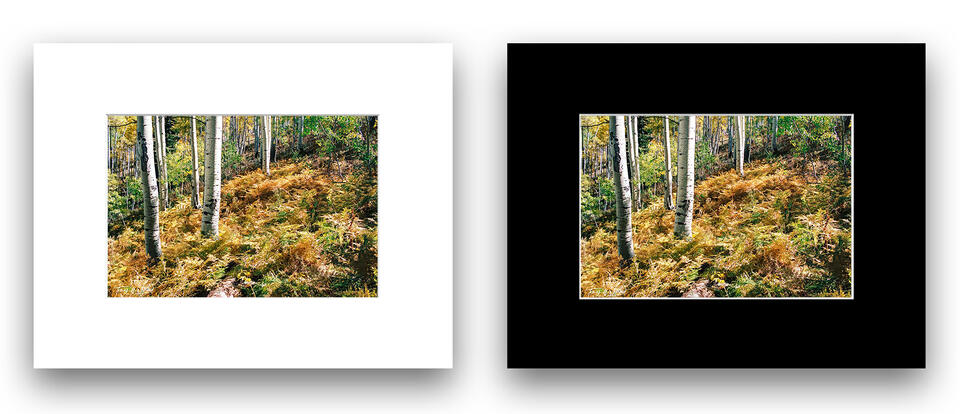 print preview