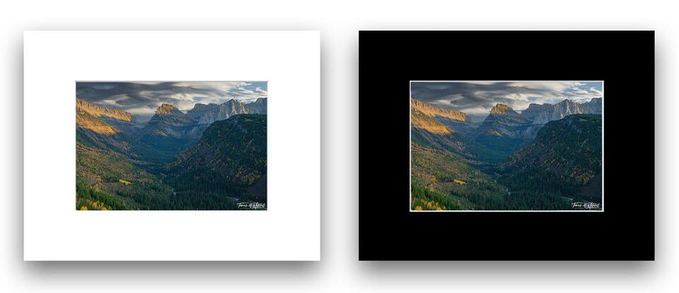print preview
