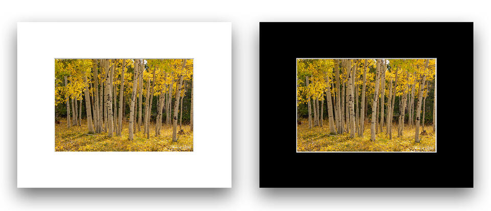 print preview