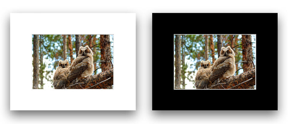  print preview