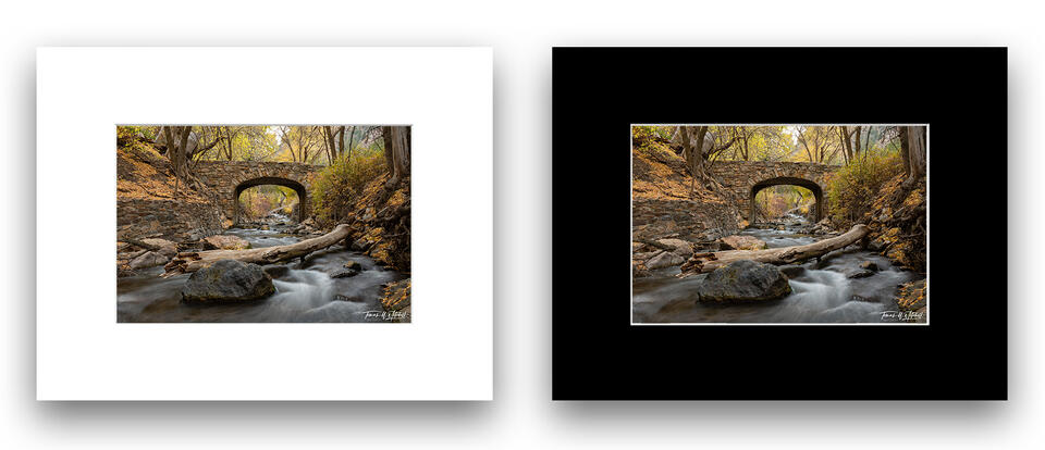  print preview
